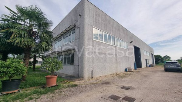 appartamento in vendita a Casalserugo