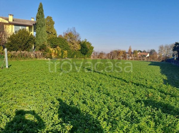 terreno edificabile in vendita a Casalserugo