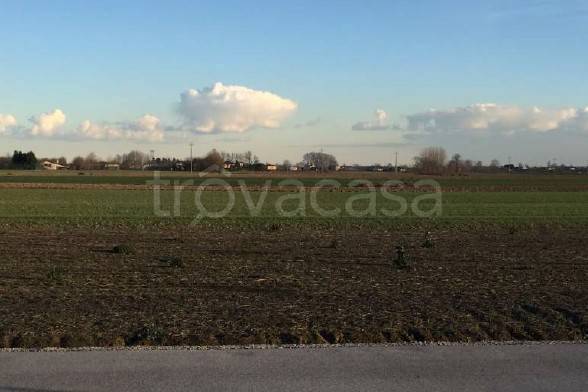 terreno edificabile in vendita a Casalserugo