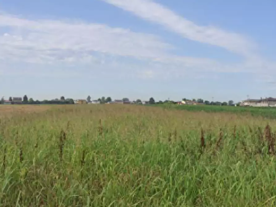 casa indipendente in vendita a Casalserugo