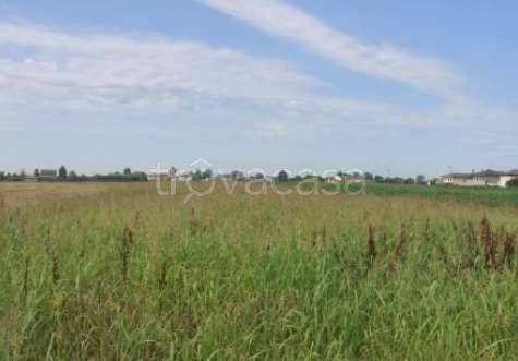 monolocale in vendita a Casalserugo