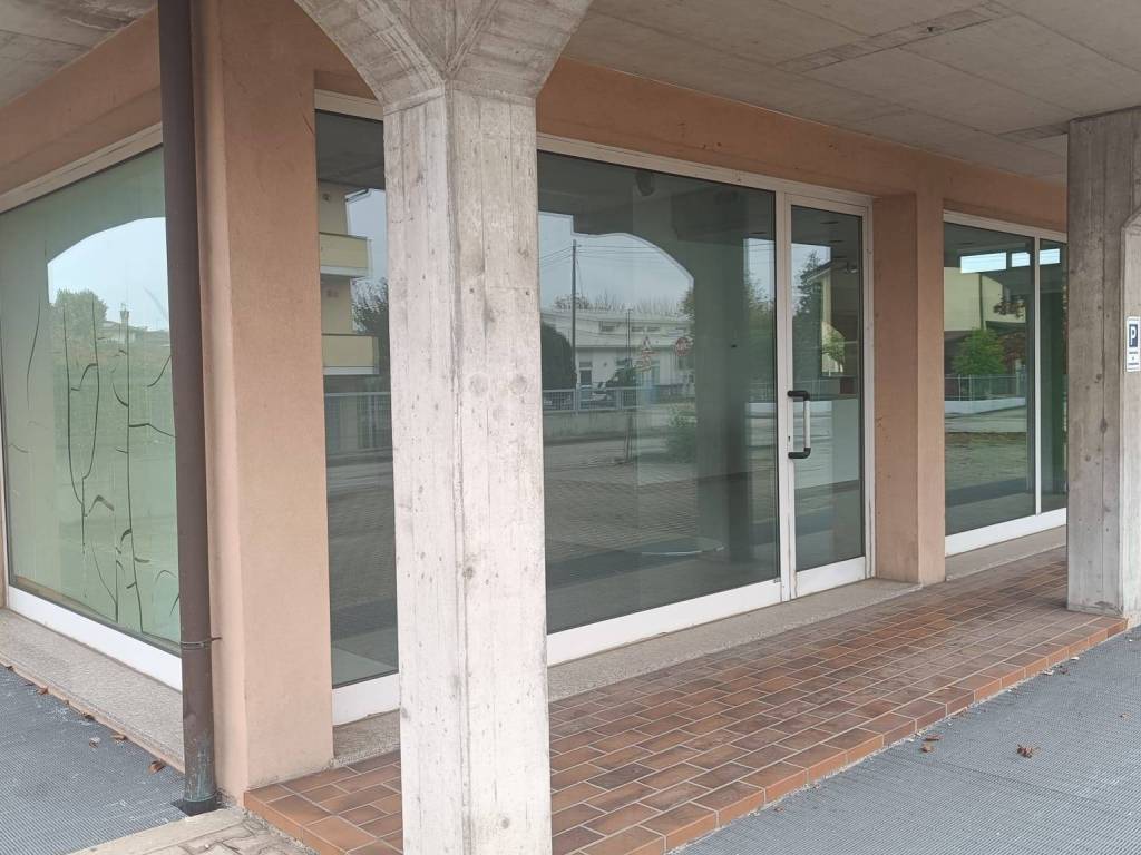 negozio in vendita a Casalserugo
