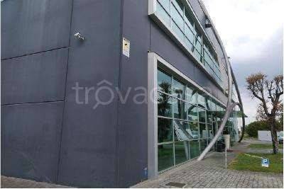 negozio in vendita a Casalserugo