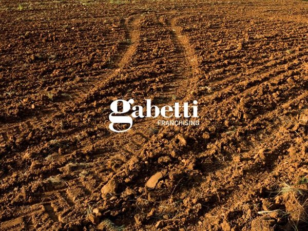 terreno agricolo in vendita a Casalserugo