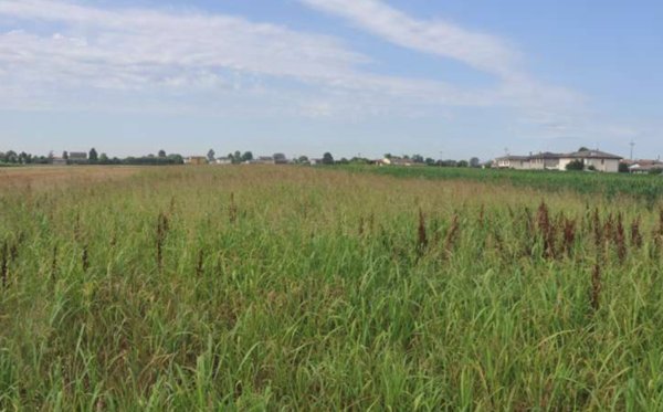 terreno edificabile in vendita a Casalserugo