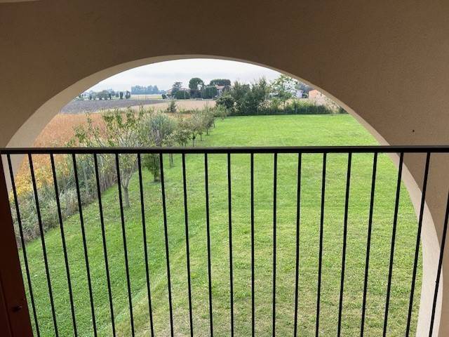 casa indipendente in vendita a Casalserugo