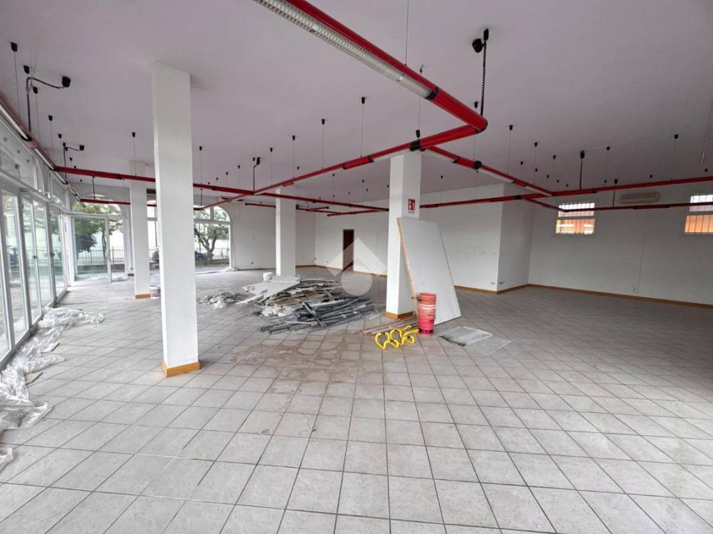 negozio in vendita a Casalserugo