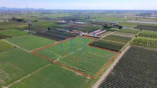 terreno agricolo in vendita a Castelbaldo