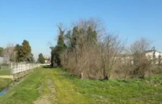 terreno agricolo in vendita a Castelbaldo