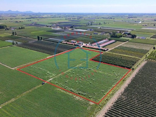 terreno agricolo in vendita a Castelbaldo