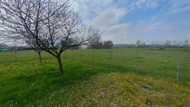 casa indipendente in vendita a Cervarese Santa Croce in zona Montemerlo