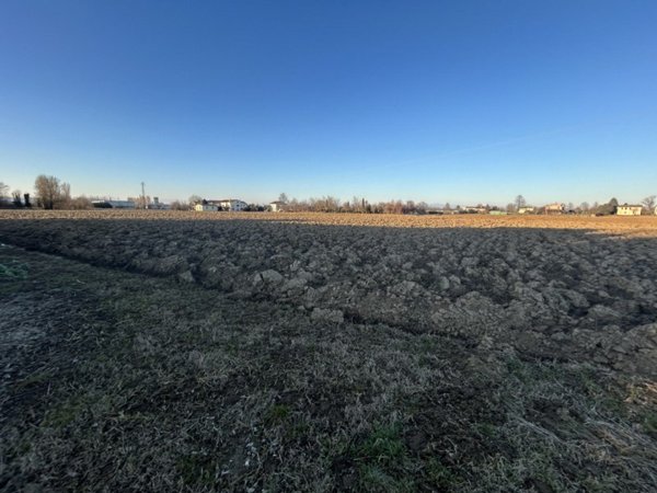terreno agricolo in vendita a Cervarese Santa Croce