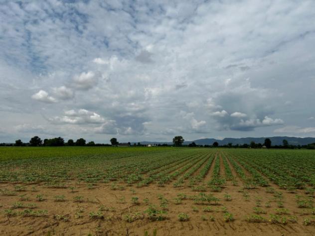 terreno edificabile in vendita a Cervarese Santa Croce