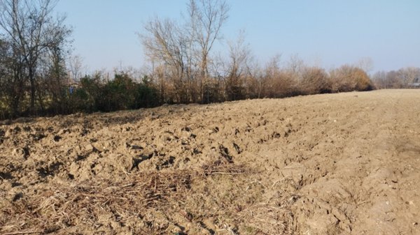 terreno agricolo in vendita a Cervarese Santa Croce in zona Montemerlo