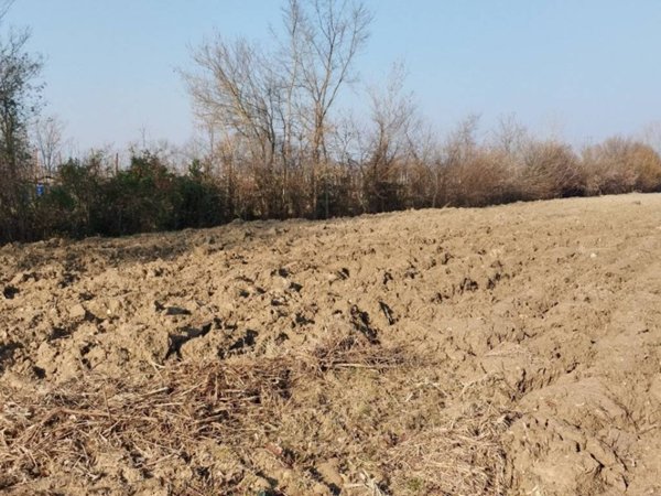 terreno agricolo in vendita a Cervarese Santa Croce in zona Montemerlo
