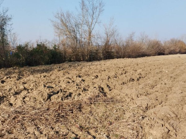 terreno agricolo in vendita a Cervarese Santa Croce