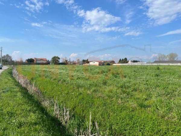 terreno agricolo in vendita a Cervarese Santa Croce