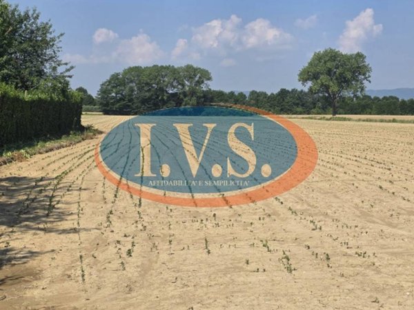 terreno agricolo in vendita a Cervarese Santa Croce in zona Fossona