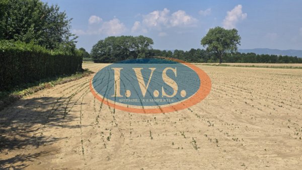 terreno agricolo in vendita a Cervarese Santa Croce in zona Fossona