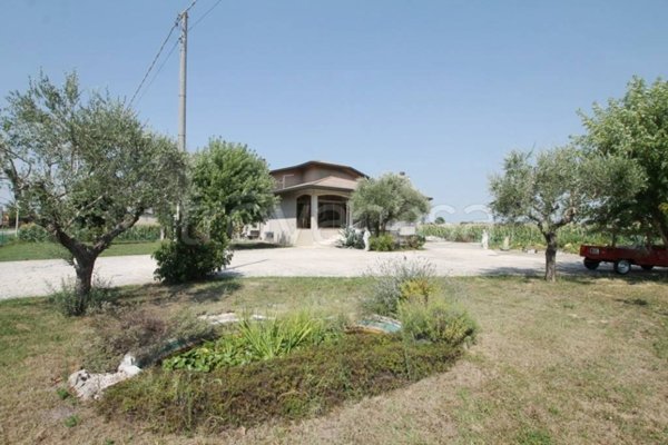 casa indipendente in vendita a Cervarese Santa Croce in zona Montemerlo