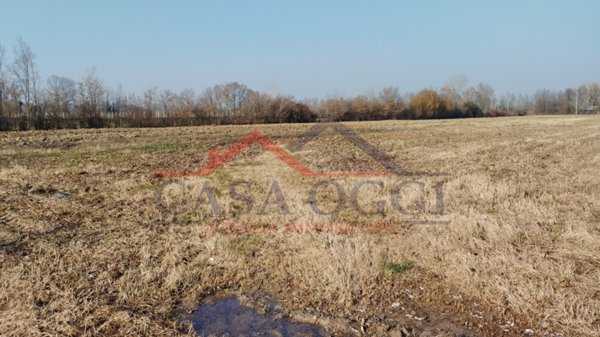 terreno agricolo in vendita a Cervarese Santa Croce in zona Montemerlo