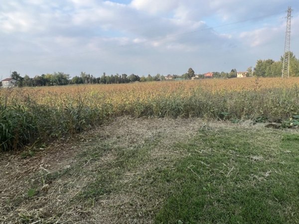 terreno in vendita a Cervarese Santa Croce