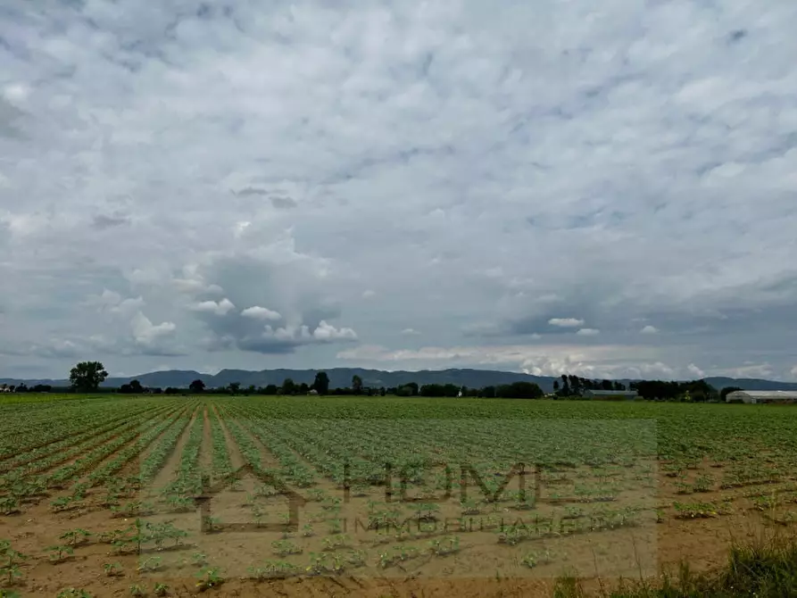 terreno in vendita a Cervarese Santa Croce