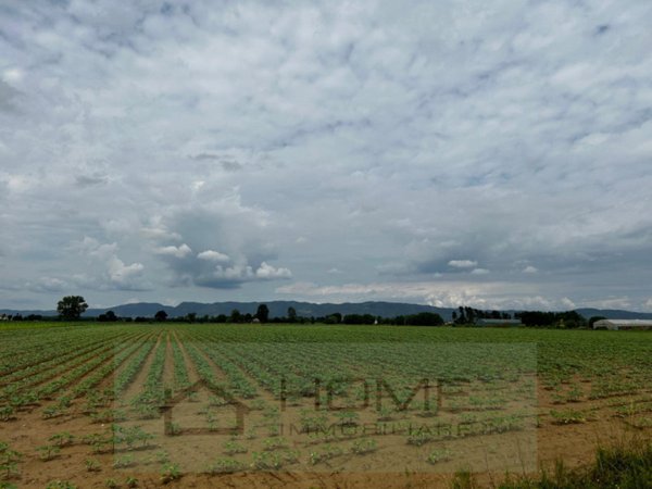 terreno in vendita a Cervarese Santa Croce