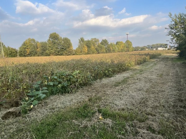 terreno in vendita a Cervarese Santa Croce