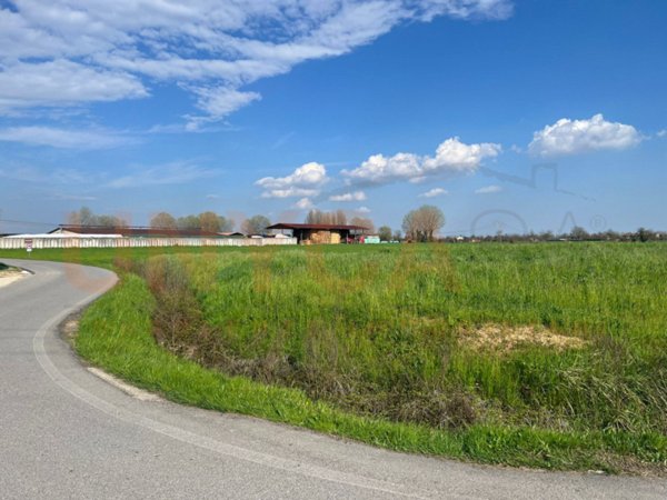 terreno in vendita a Cervarese Santa Croce in zona Fossona