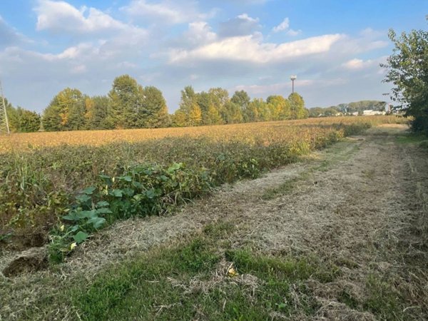 terreno in vendita a Cervarese Santa Croce