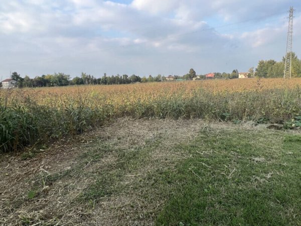 terreno in vendita a Cervarese Santa Croce