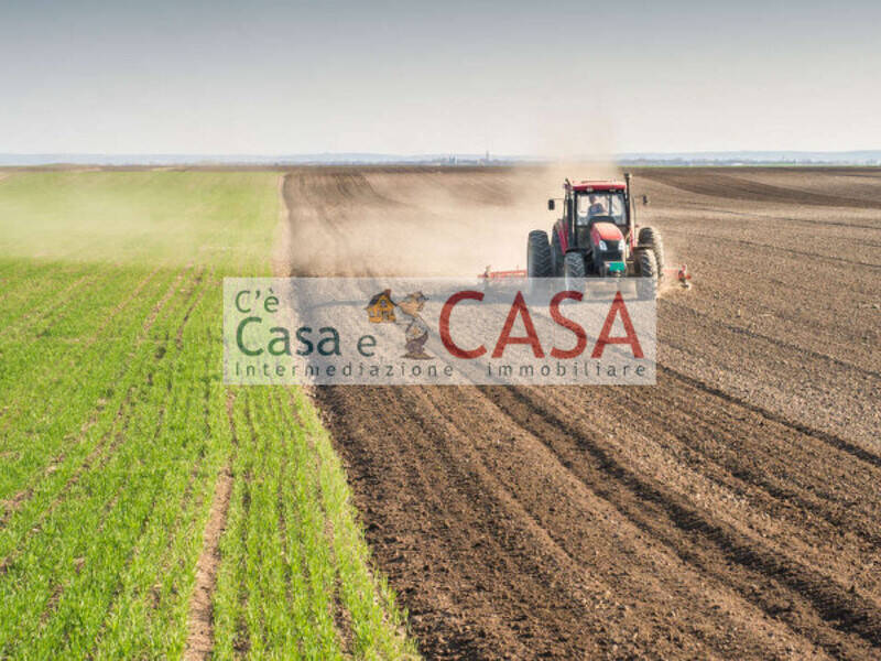 casa indipendente in vendita a Cervarese Santa Croce