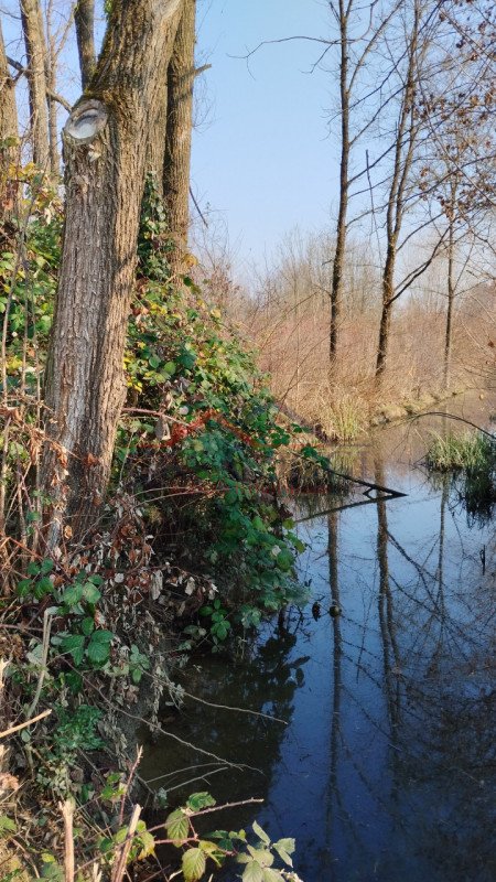 terreno in vendita a Cervarese Santa Croce in zona Montemerlo