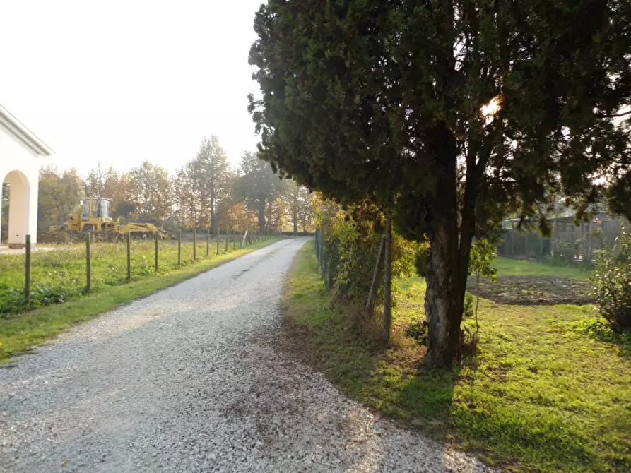 terreno in vendita a Cervarese Santa Croce in zona Fossona
