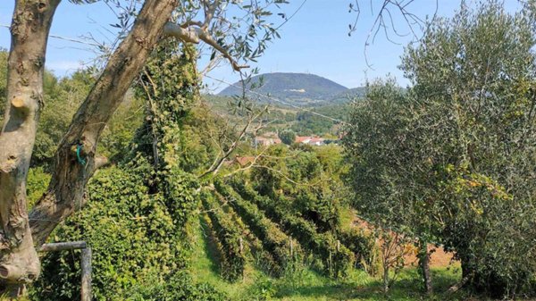 villa in vendita a Cinto Euganeo in zona Valnogaredo