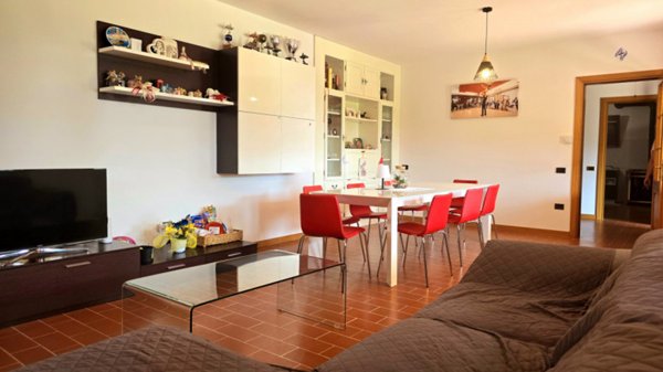 casa indipendente in vendita a Cinto Euganeo in zona Santa Lucia