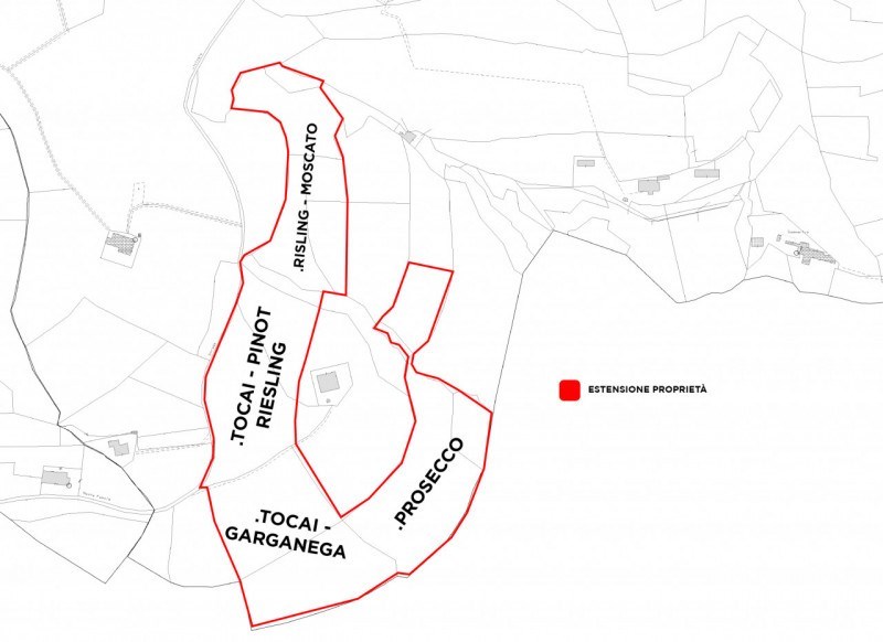 terreno agricolo in vendita a Cinto Euganeo