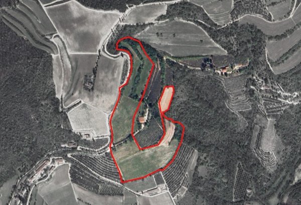 terreno agricolo in vendita a Cinto Euganeo