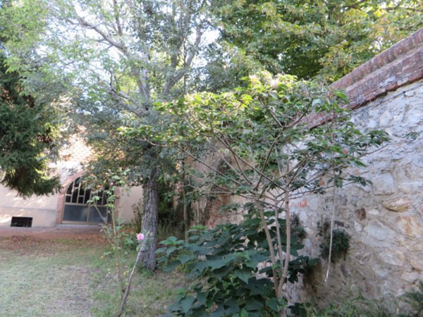 casa indipendente in vendita a Cinto Euganeo
