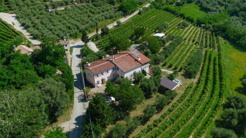 casa indipendente in vendita a Cinto Euganeo in zona Valnogaredo