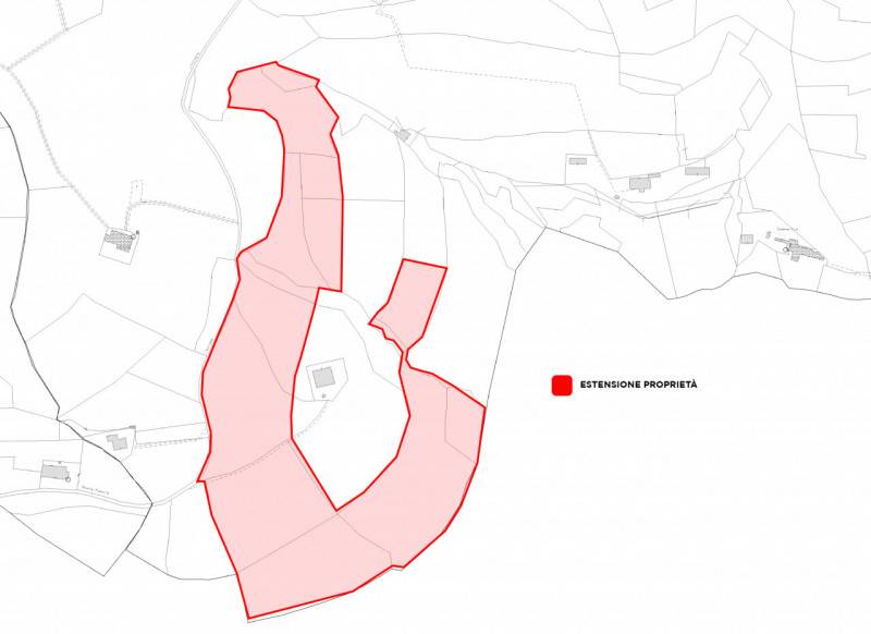 terreno agricolo in vendita a Cinto Euganeo