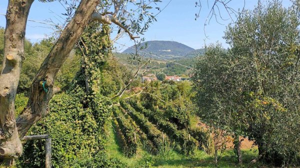 appartamento in vendita a Cinto Euganeo in zona Valnogaredo