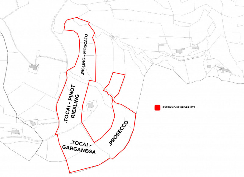 terreno agricolo in vendita a Cinto Euganeo