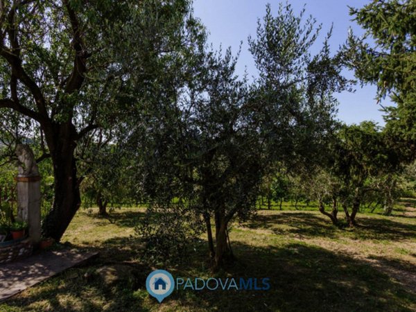 casa indipendente in vendita a Cinto Euganeo in zona Valnogaredo