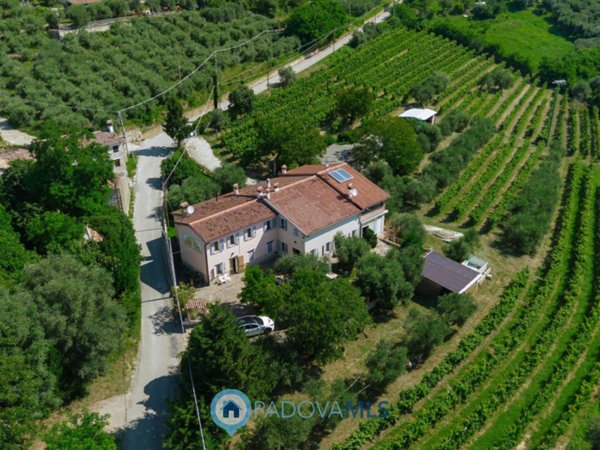 casa indipendente in vendita a Cinto Euganeo in zona Valnogaredo