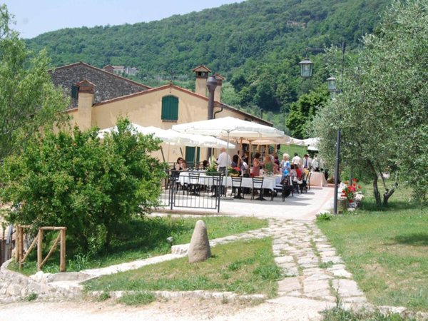 negozio in vendita a Cinto Euganeo