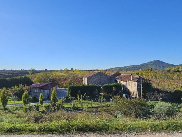 terreno agricolo in vendita a Cinto Euganeo