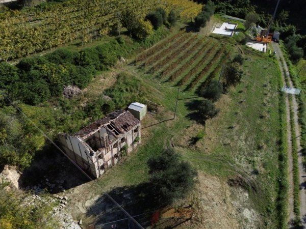 casa indipendente in vendita a Cinto Euganeo