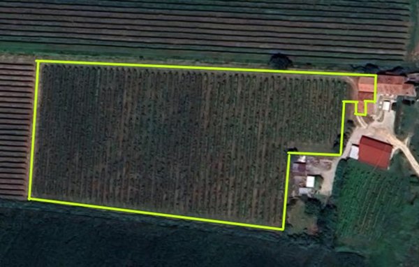 casa indipendente in vendita a Cinto Euganeo